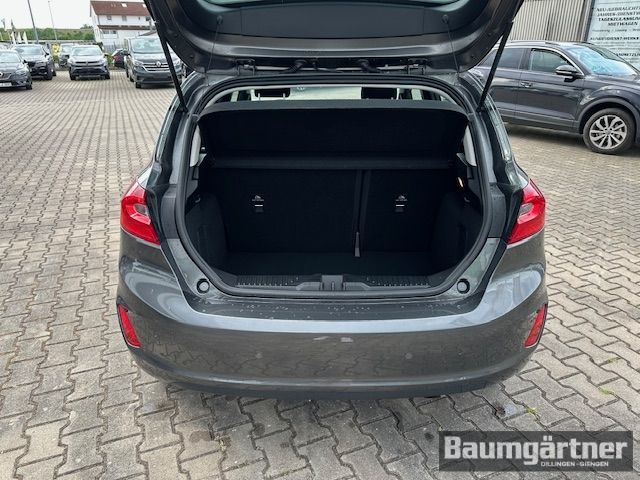 Fahrzeugabbildung Ford Fiesta Cool & Connect 1.0 EcoBoost PDC/Winter-P.
