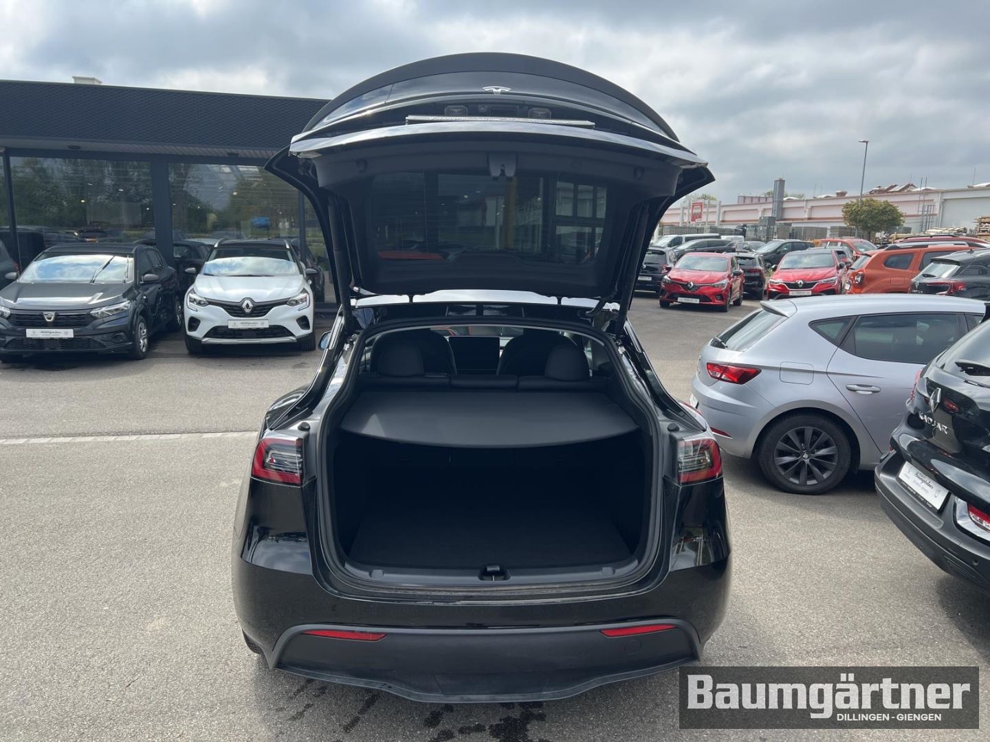 Fahrzeugabbildung Tesla Model Y Performance Dual AWD 21 Zoll
